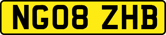 NG08ZHB