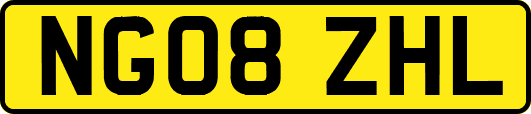 NG08ZHL