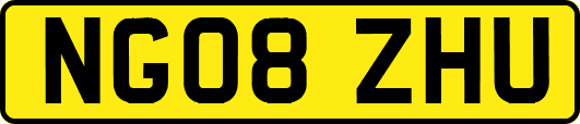 NG08ZHU
