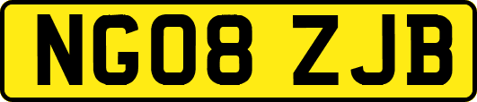 NG08ZJB