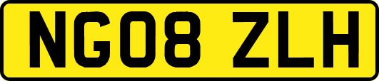 NG08ZLH