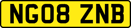 NG08ZNB