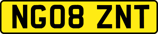 NG08ZNT