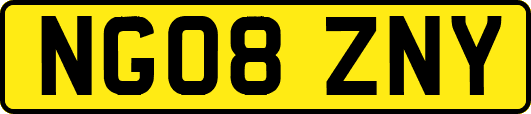 NG08ZNY