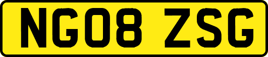 NG08ZSG