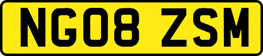 NG08ZSM