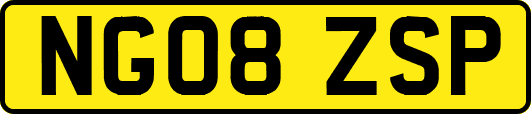 NG08ZSP