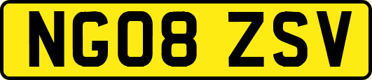 NG08ZSV