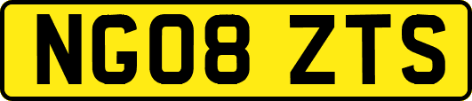 NG08ZTS