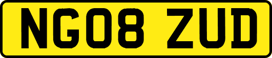 NG08ZUD
