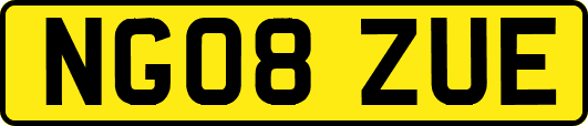 NG08ZUE