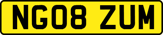 NG08ZUM