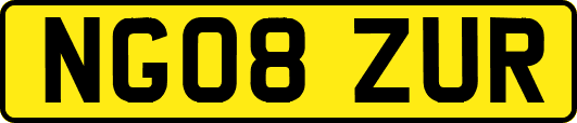NG08ZUR
