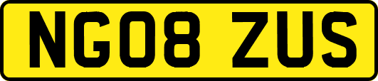 NG08ZUS