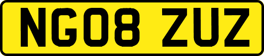 NG08ZUZ