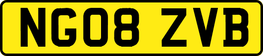 NG08ZVB