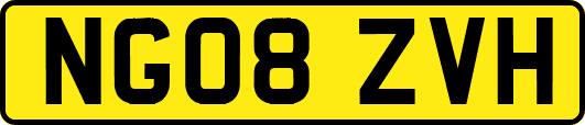 NG08ZVH