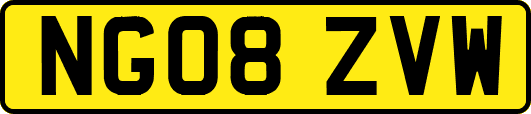 NG08ZVW