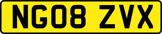 NG08ZVX