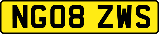 NG08ZWS