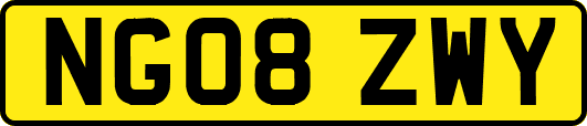 NG08ZWY