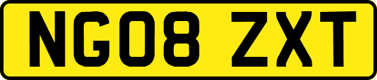 NG08ZXT