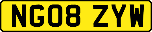 NG08ZYW