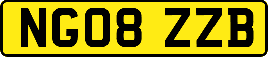 NG08ZZB