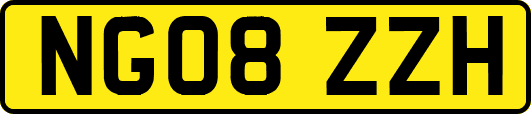 NG08ZZH