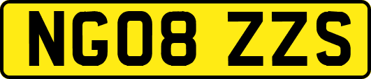 NG08ZZS