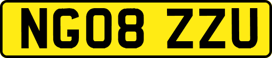 NG08ZZU