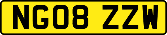 NG08ZZW