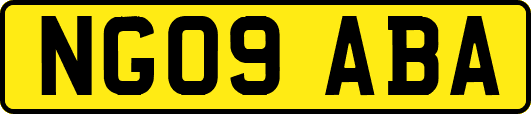 NG09ABA