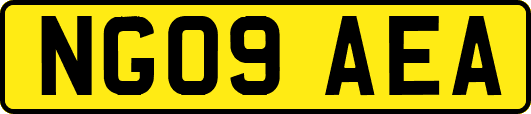 NG09AEA