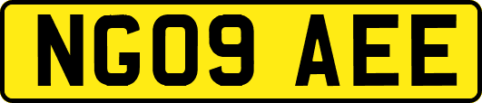 NG09AEE