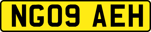 NG09AEH