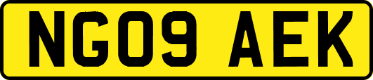 NG09AEK