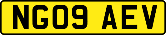 NG09AEV