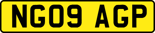 NG09AGP