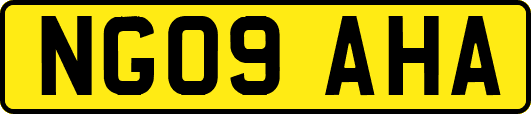 NG09AHA