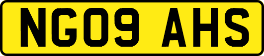 NG09AHS
