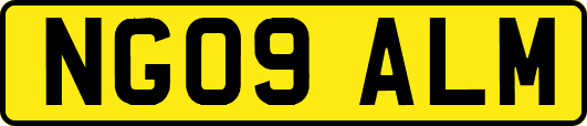 NG09ALM