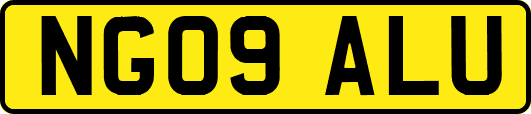 NG09ALU