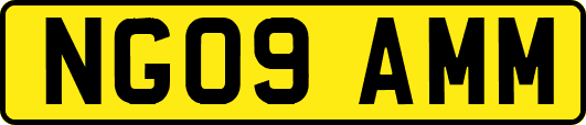 NG09AMM