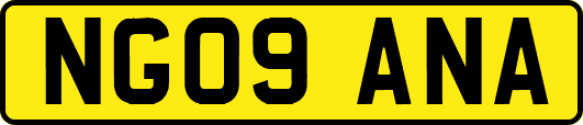NG09ANA