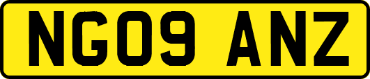 NG09ANZ