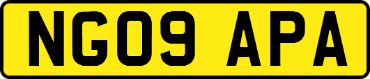 NG09APA