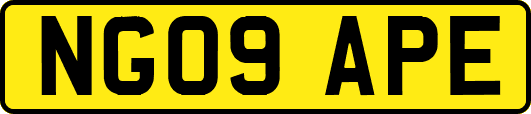 NG09APE