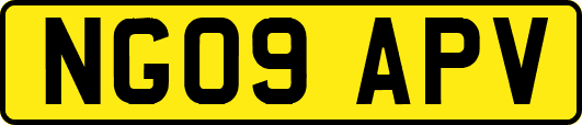 NG09APV