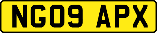 NG09APX